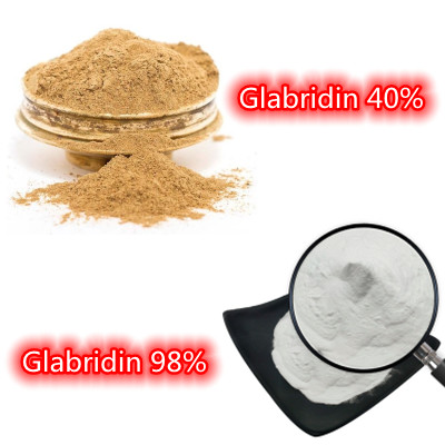 Polvere di Bolin Glabridin in vendita